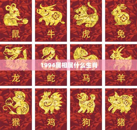 1994年屬什麼生肖|1994年1月出生属什么生肖 属狗还是属鸡